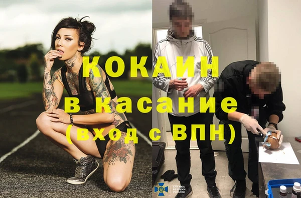 прущие грибы Лихославль