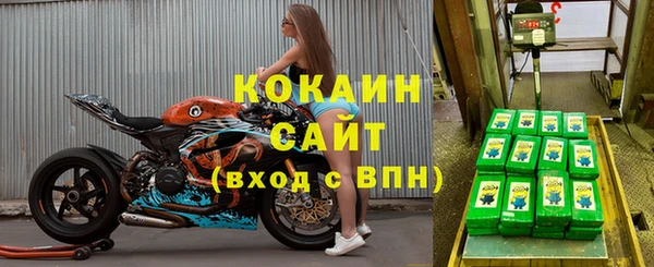 прущие грибы Лихославль