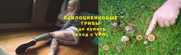 таблы Липки