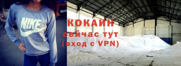 прущие грибы Лихославль
