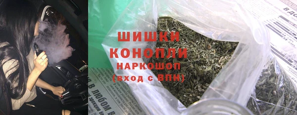 прущие грибы Лихославль