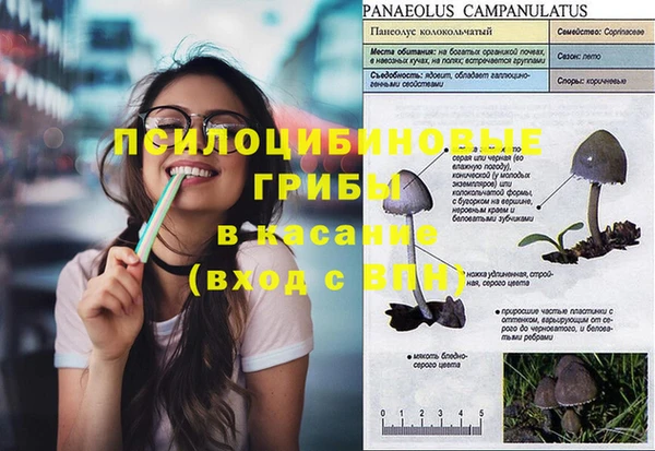 прущие грибы Лихославль